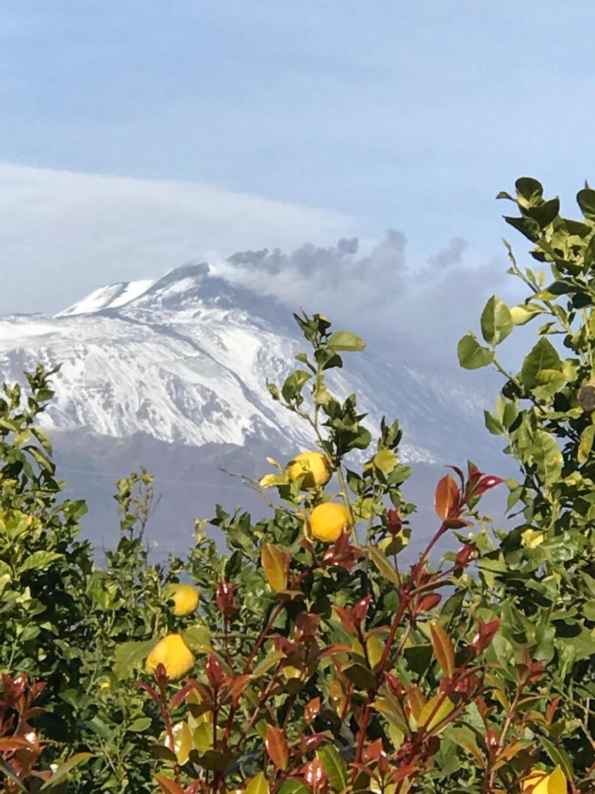 Vista Mare Etna Daire Acireale Dış mekan fotoğraf